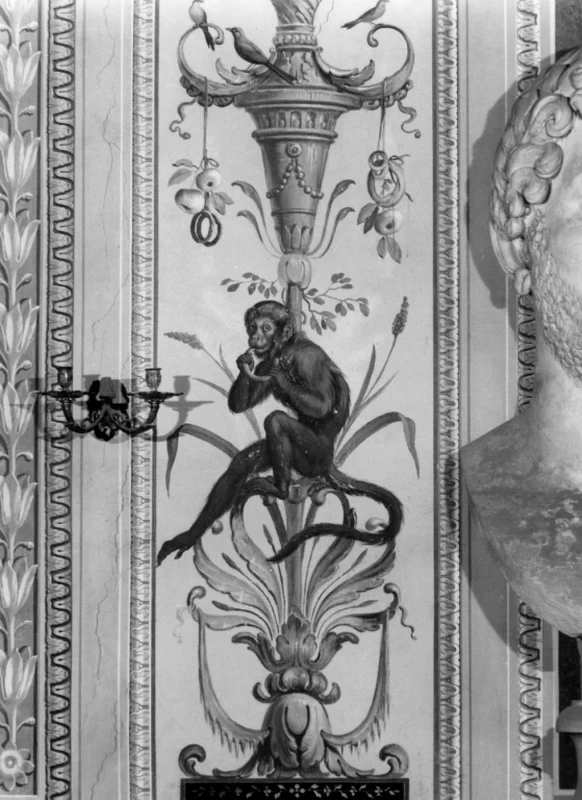Scimmia e uccelli - Villa Borghese Pinciana, Roma